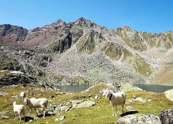 Apartmán Nadine-8 By Interhome *