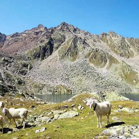 Lejlighed Nadine-8 By Interhome *