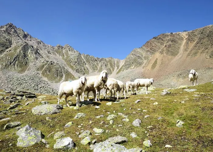 Appartement Nadine-8 By Interhome